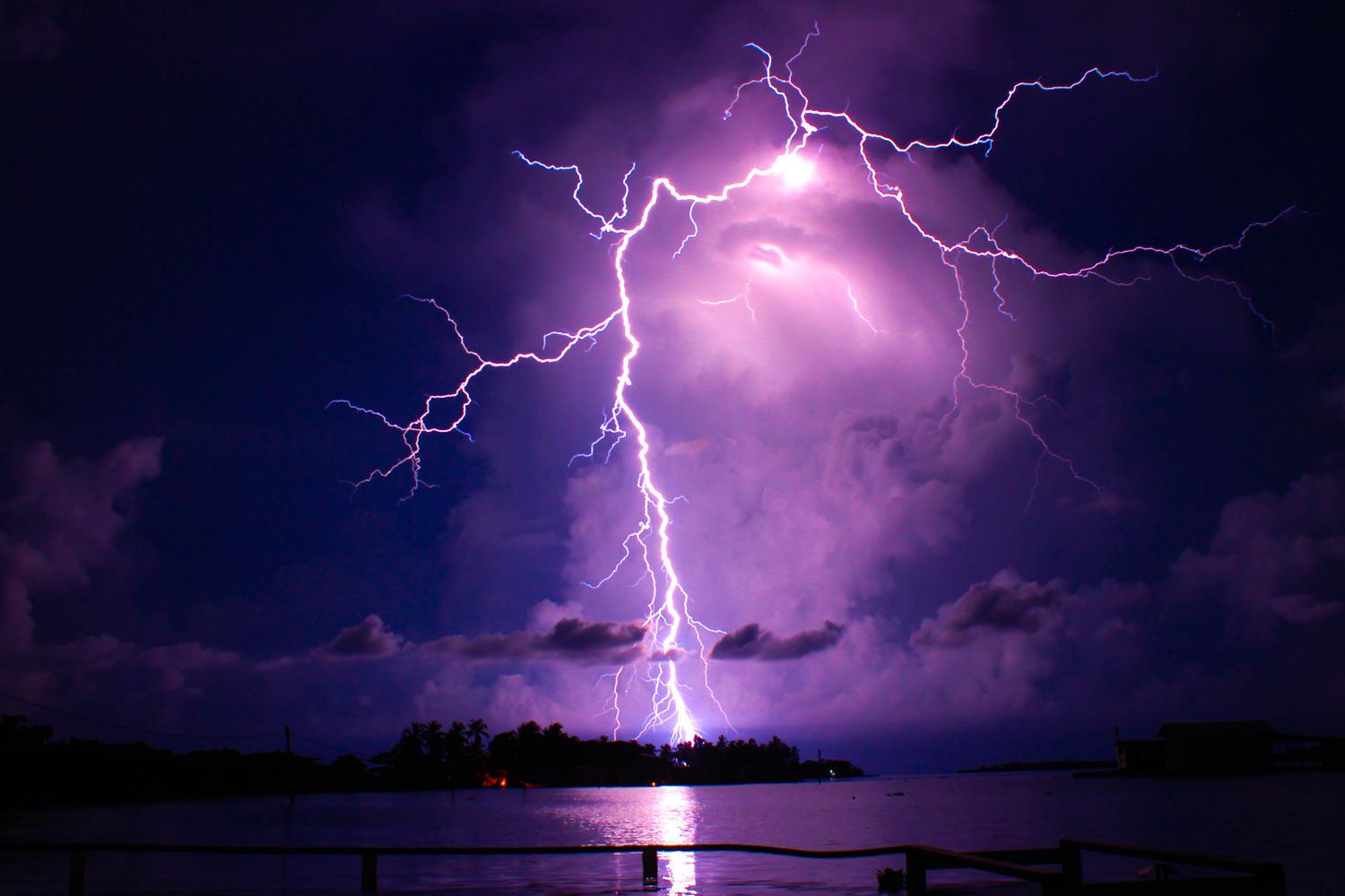 Book review artwork for A Storm Rises (Bloodlines Legacy Book 1)