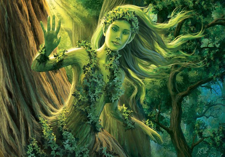 Book review artwork for The First Dryad Book 1